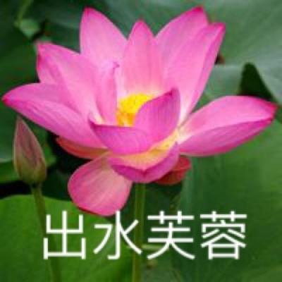 幻世三国官方